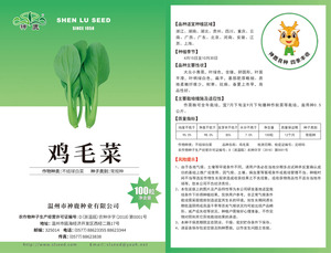 雞毛菜