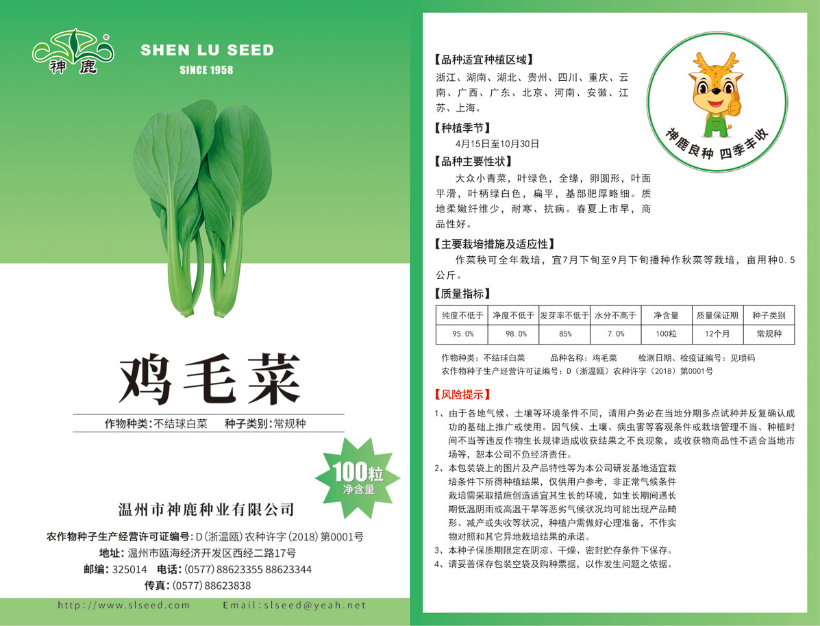 雞毛菜