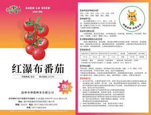 紅瀑布番茄