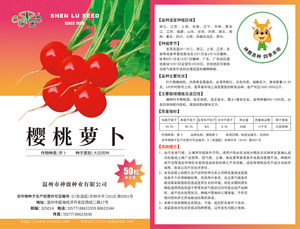 櫻桃蘿卜