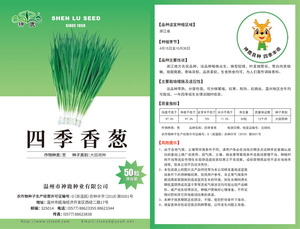 四季香蔥