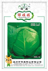 綠娃娃