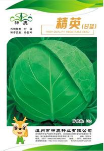 精英