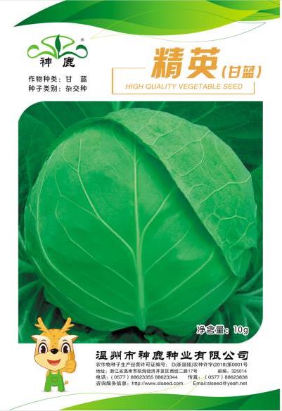 精英