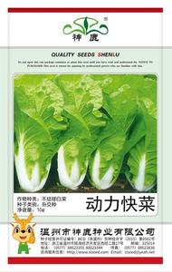 動力快菜