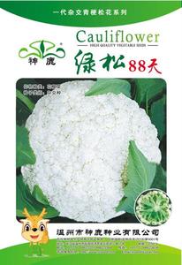 綠松88天