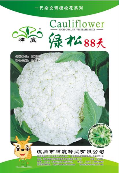 綠松88天