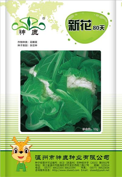 新花80天