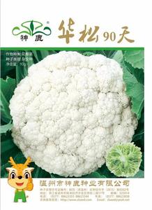 華松90天