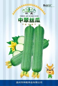 中翠絲瓜