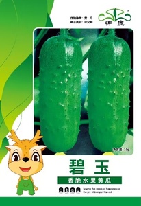 碧玉