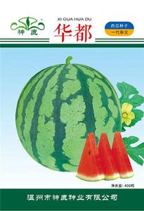 華都西瓜