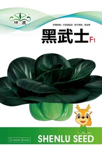 黑武士