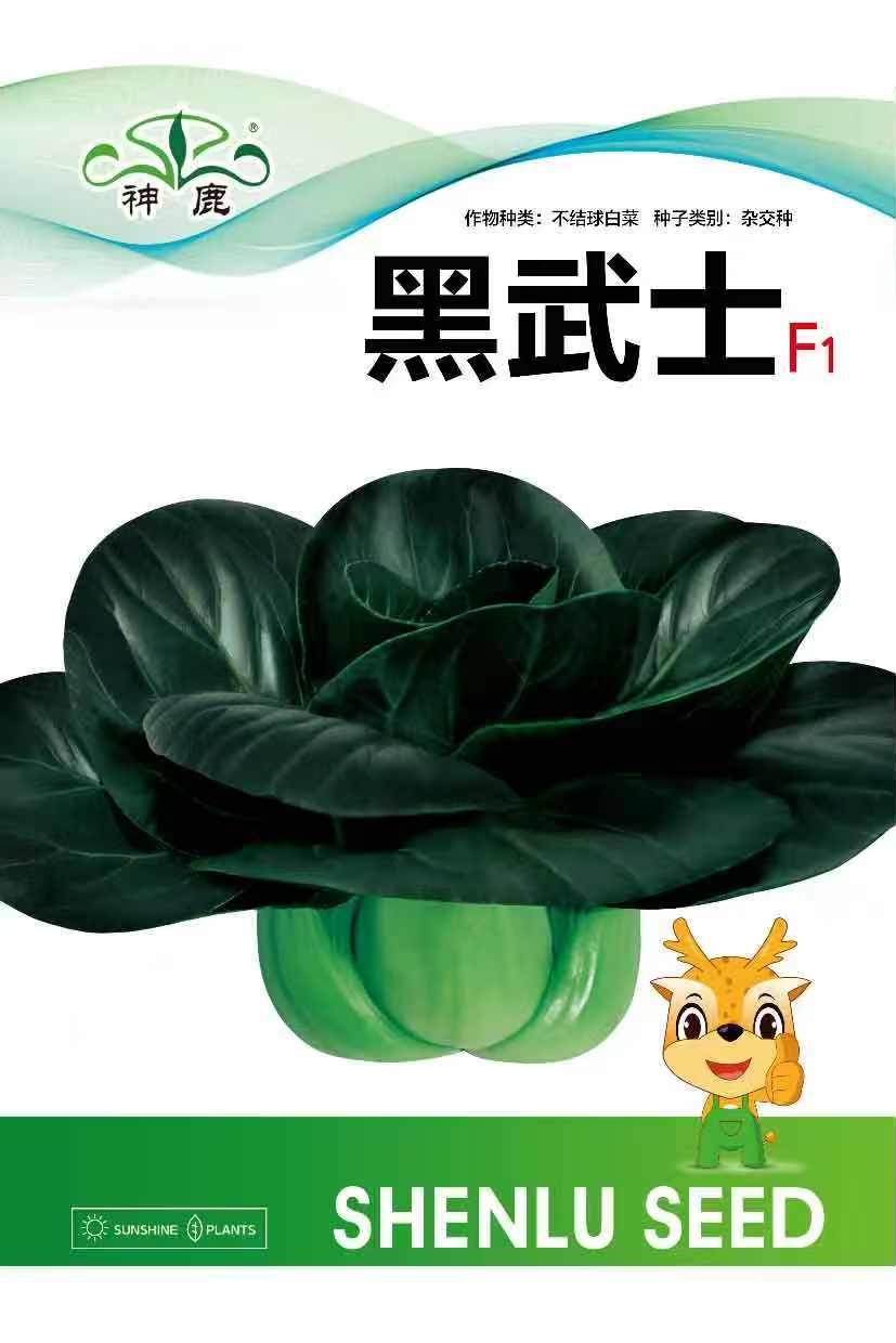 黑武士