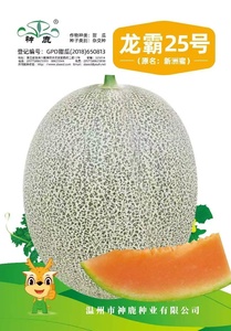 龍霸25號(hào)