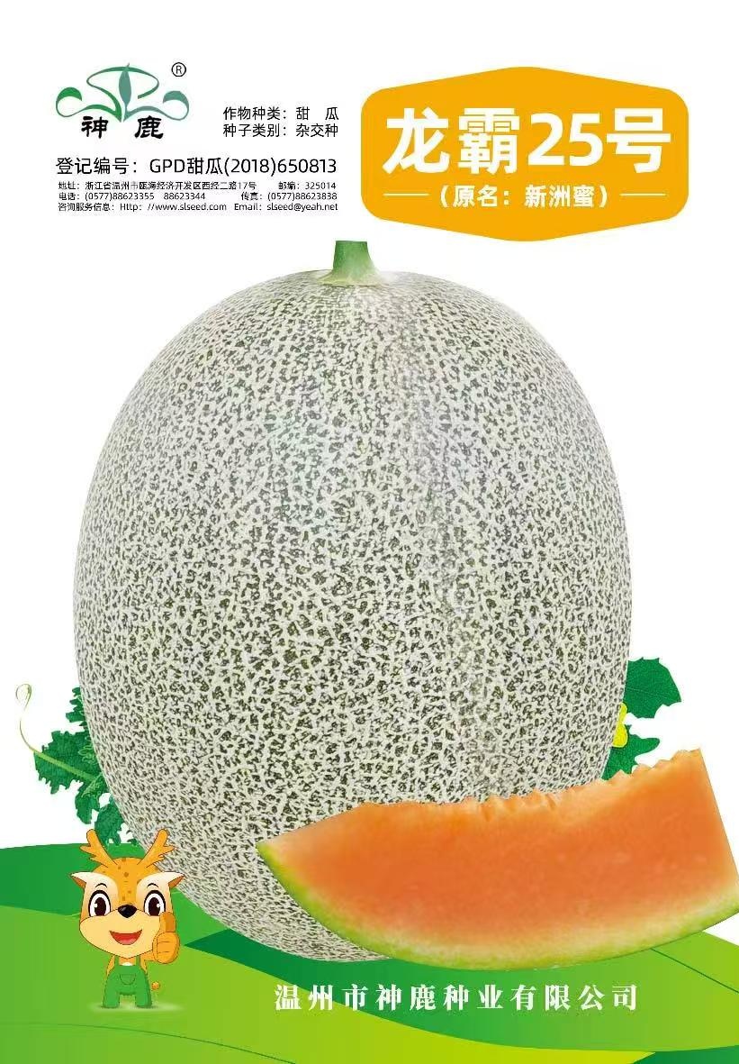 龍霸25號(hào)