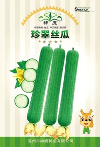 珍翠絲瓜