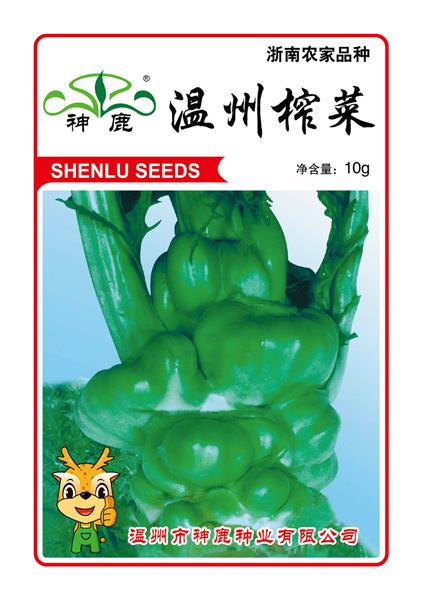 榨菜