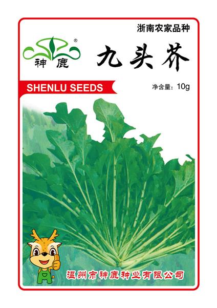 九頭芥