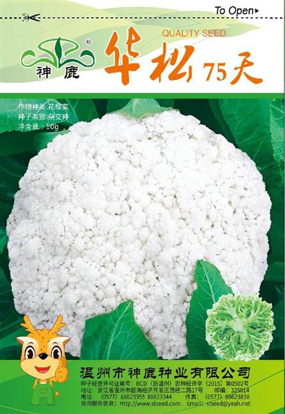 華松75天