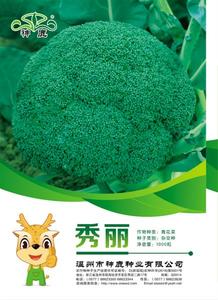 秀麗