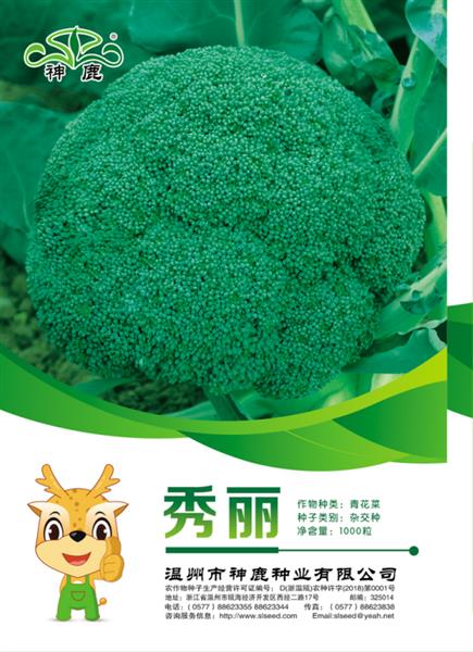 秀麗