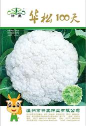 華松100天