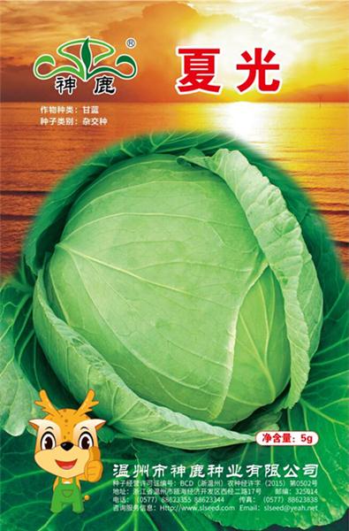 夏光