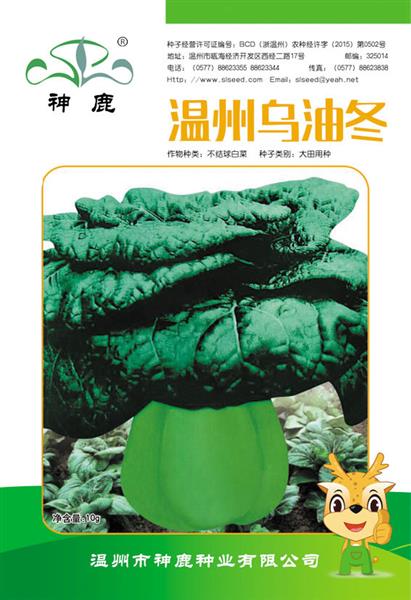 溫州烏油冬