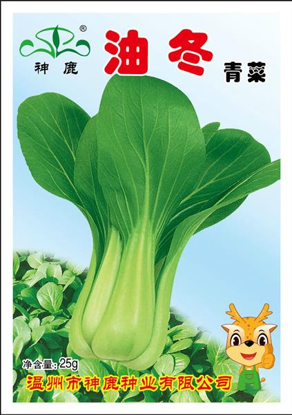 油冬