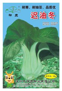 遲油冬