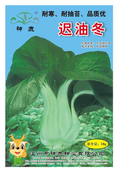 遲油冬