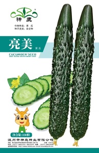 亮美