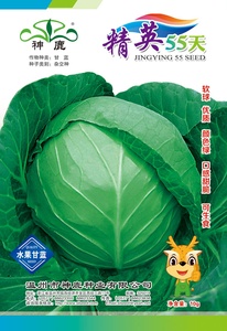 精英55天