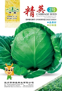 精英2號