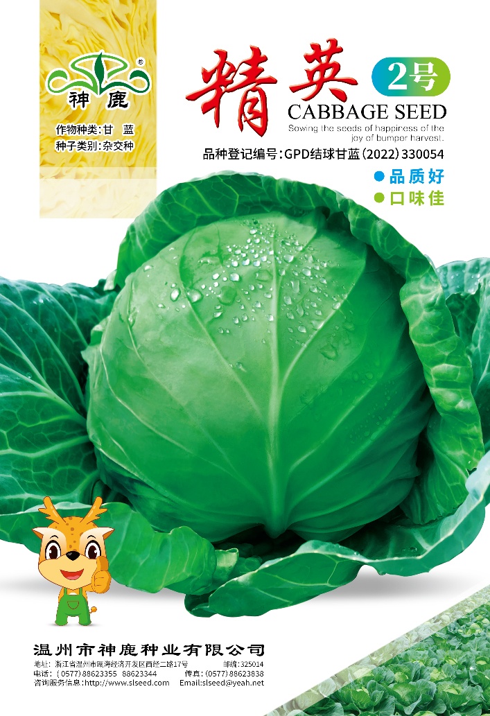 精英2號(hào)