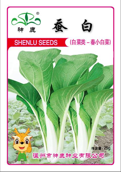 蠶白
