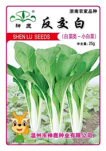 反交白