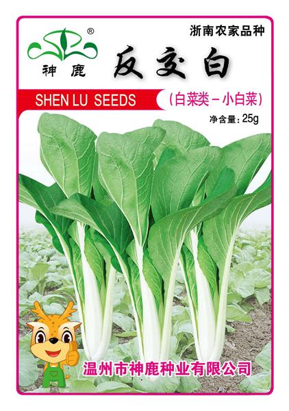反交白