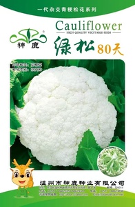 綠松80天