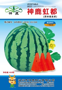 神鹿虹都