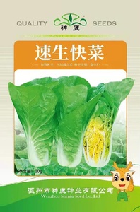 速生快菜