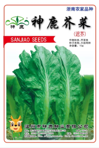 神鹿芥菜