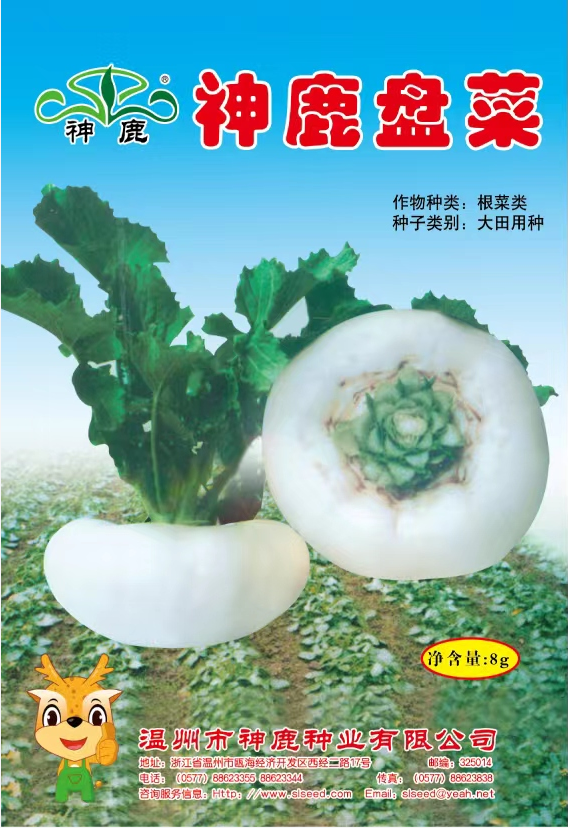 神鹿盤菜